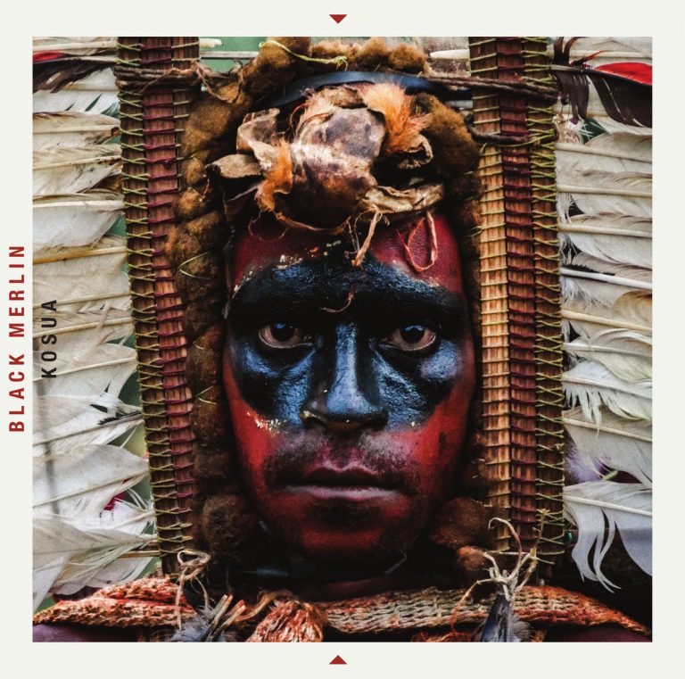 Black Merlin - Kosua - Kosua