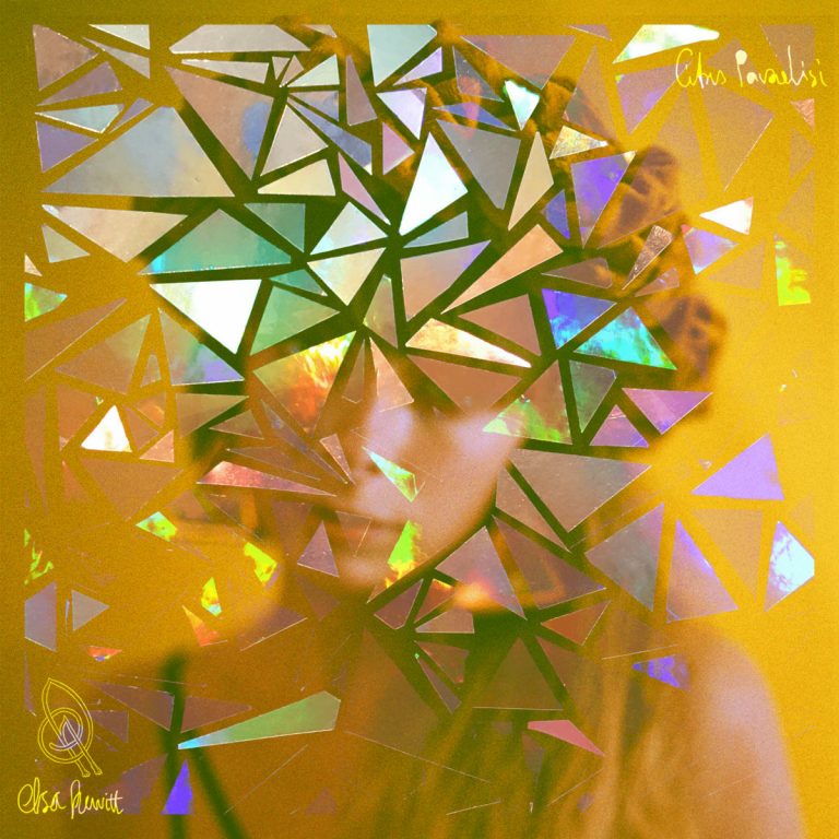 elsa_hewitt-citrus_paradisi